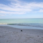 <img src="baycolonythestrandnaplesfl.jpeg" alt="bay colony the strand naples fl"